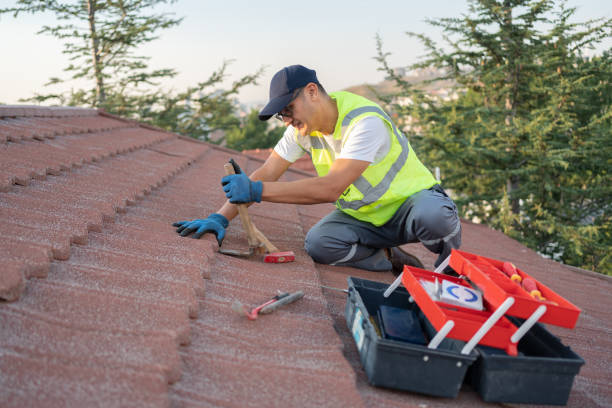 Best Roof Leak Repair  in New Castle, IN