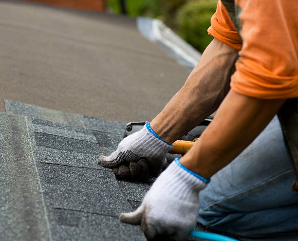Best Roof Gutter Cleaning  in New Castle, IN