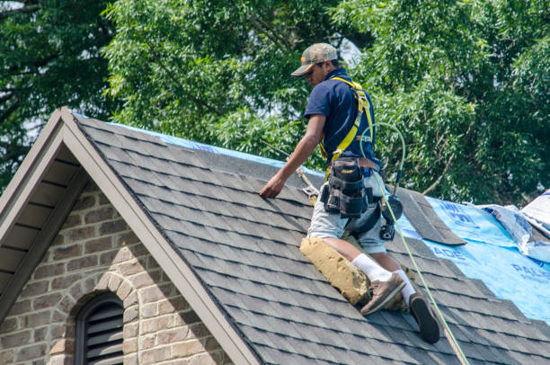 Best Roof Restoration Services  in New Castle, IN